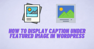 How to Display Caption Under Featured Image in WordPress